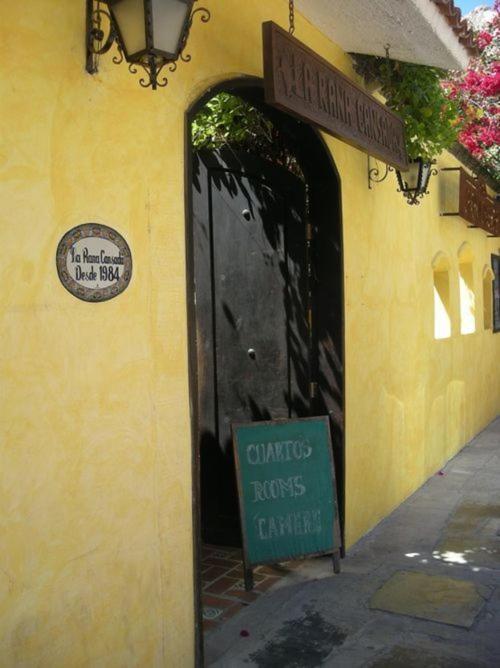 La Rana Cansada Hotel Playa del Carmen Szoba fotó